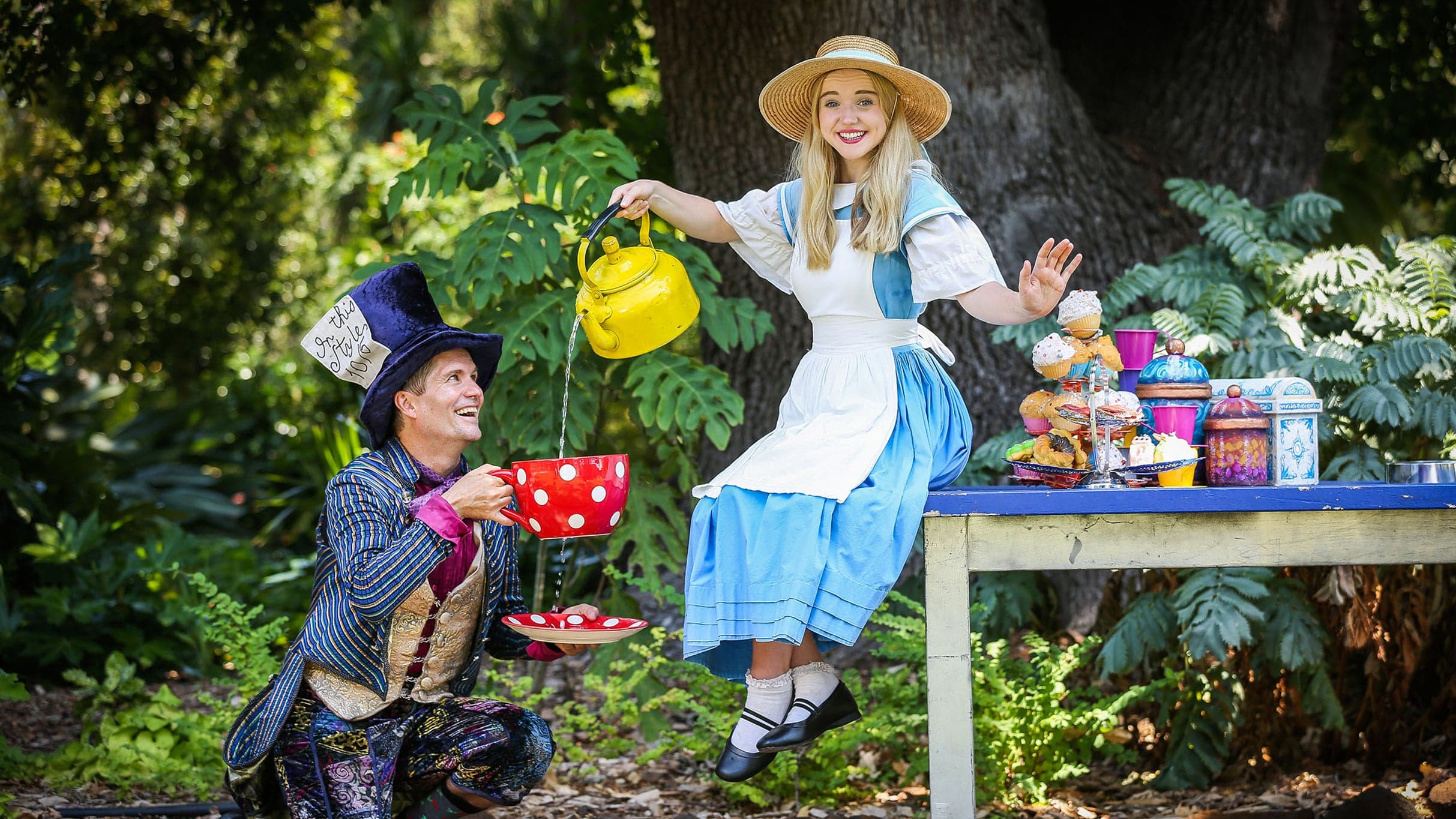 Alice In Wonderland ASC