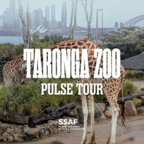 Taronga Zoo Pulse Tour