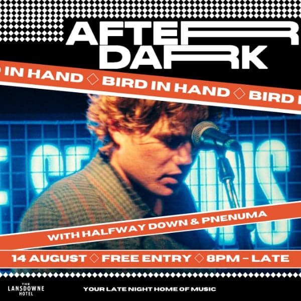 AFTER DARK W/ BIRD IN HAND, HALFWAY DOWN & PNEUMA